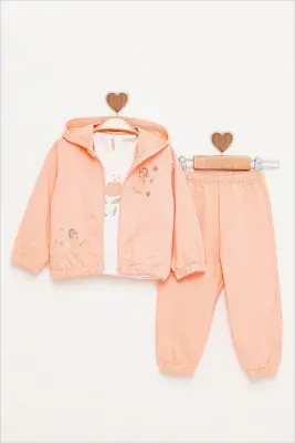 Baby Girl Ballerina Embroidered Tracksuit 9-24M BabyRose 1002-7811 - 4