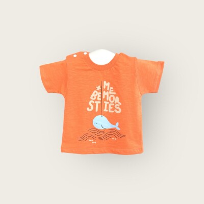 Wholesale Baby Boys T-shirt 6-18M Algiy Mini 2047-3552 - Algiy Mini