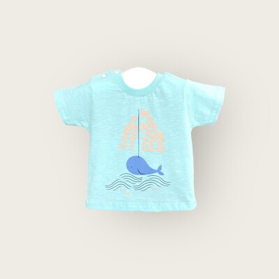 Wholesale Baby Boys T-shirt 6-18M Algiy Mini 2047-3552 Серо-зелёный цвет