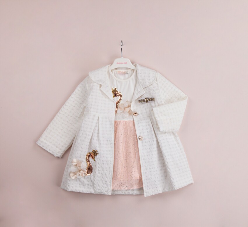 Wholesale Girls 2-Piece Coat and Dress Set 1-4Y BabyRose 1002-4018 - 3