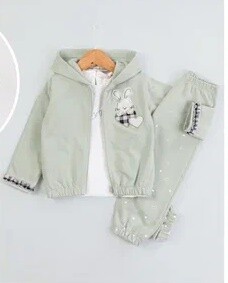 Toptan Kız Bebek 3'lü Baskılı Hırka Sweat ve Eşofman Altı Takım 9-24M BabyRose 1002-7783 Yeşil