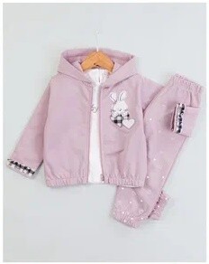 Toptan Kız Bebek 3'lü Baskılı Hırka Sweat ve Eşofman Altı Takım 9-24M BabyRose 1002-7783 - BabyRose