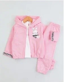 Toptan Kız Bebek 3'lü Baskılı Hırka Sweat ve Eşofman Altı Takım 9-24M BabyRose 1002-7783 Açık Pembe