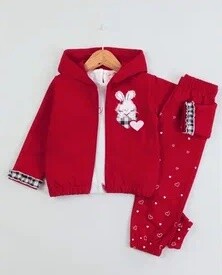 Toptan Kız Bebek 3'lü Baskılı Hırka Sweat ve Eşofman Altı Takım 9-24M BabyRose 1002-7783 Kırmızı