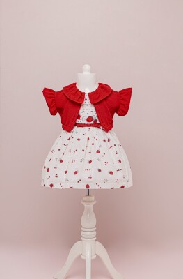 Toptan Kız Çocuk 2'li Elbise ve Bolero Takım 1-4Y BabyRose 1002-4066 - 2