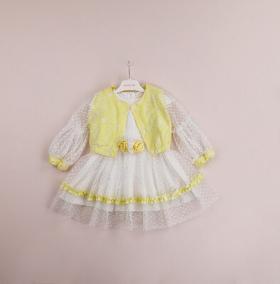 Toptan Kız Çocuk 2'li Tüllü Elbise ve Bolero Takım 1-4Y BabyRose 1002-4081 - 1