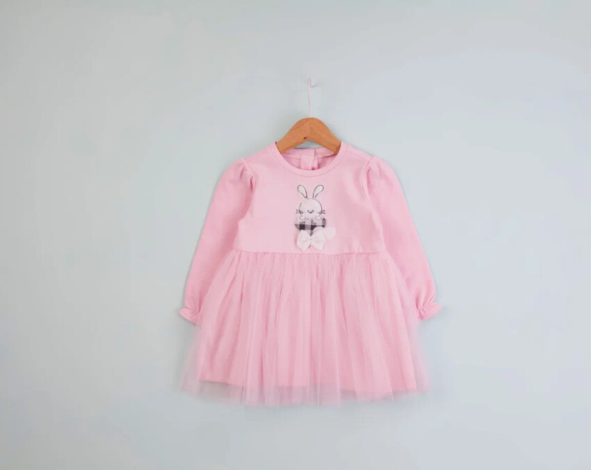 Wholesale Baby Girl Embroidered Dress 9-24M BabyRose 1002-7788 - 2