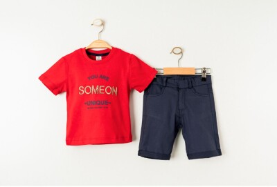 Wholesale Boys 2-Pieces T-shirt and Short Set 1-4Y Cool Exclusive 2036-23400 - Cool Exclusive