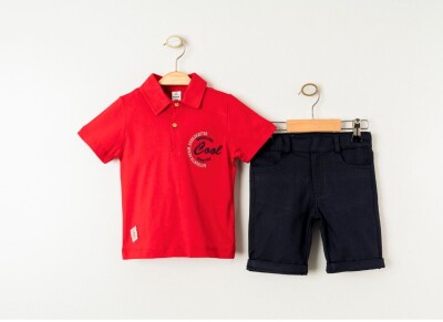 Wholesale Boys 2-Pieces T-shirt and Short Set 1-4Y Cool Exclusive 2036-23406 - Cool Exclusive